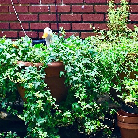 Inman Park Bed And Breakfast אטלנטה מראה חיצוני תמונה