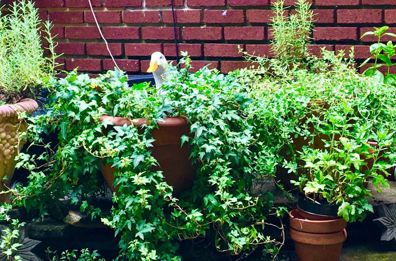 Inman Park Bed And Breakfast אטלנטה מראה חיצוני תמונה