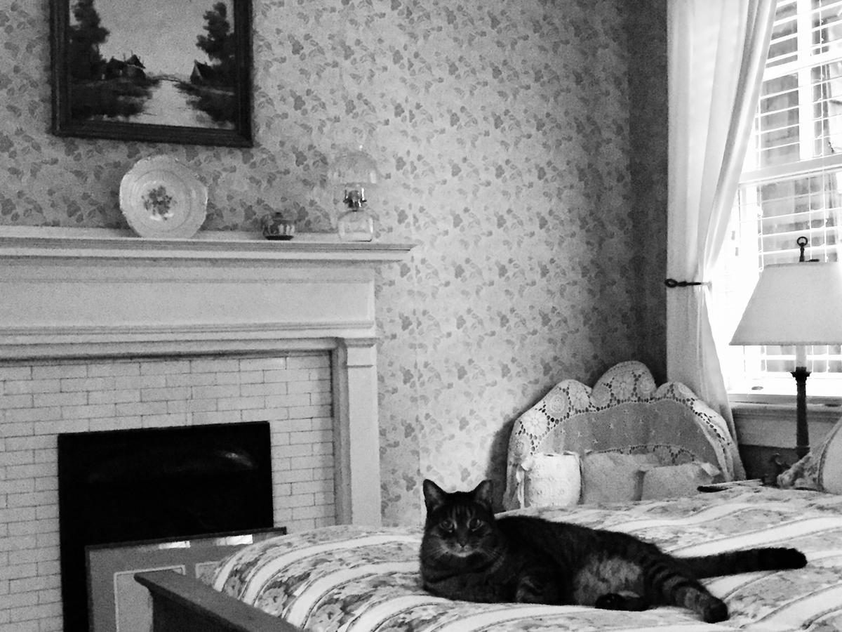 Inman Park Bed And Breakfast אטלנטה מראה חיצוני תמונה